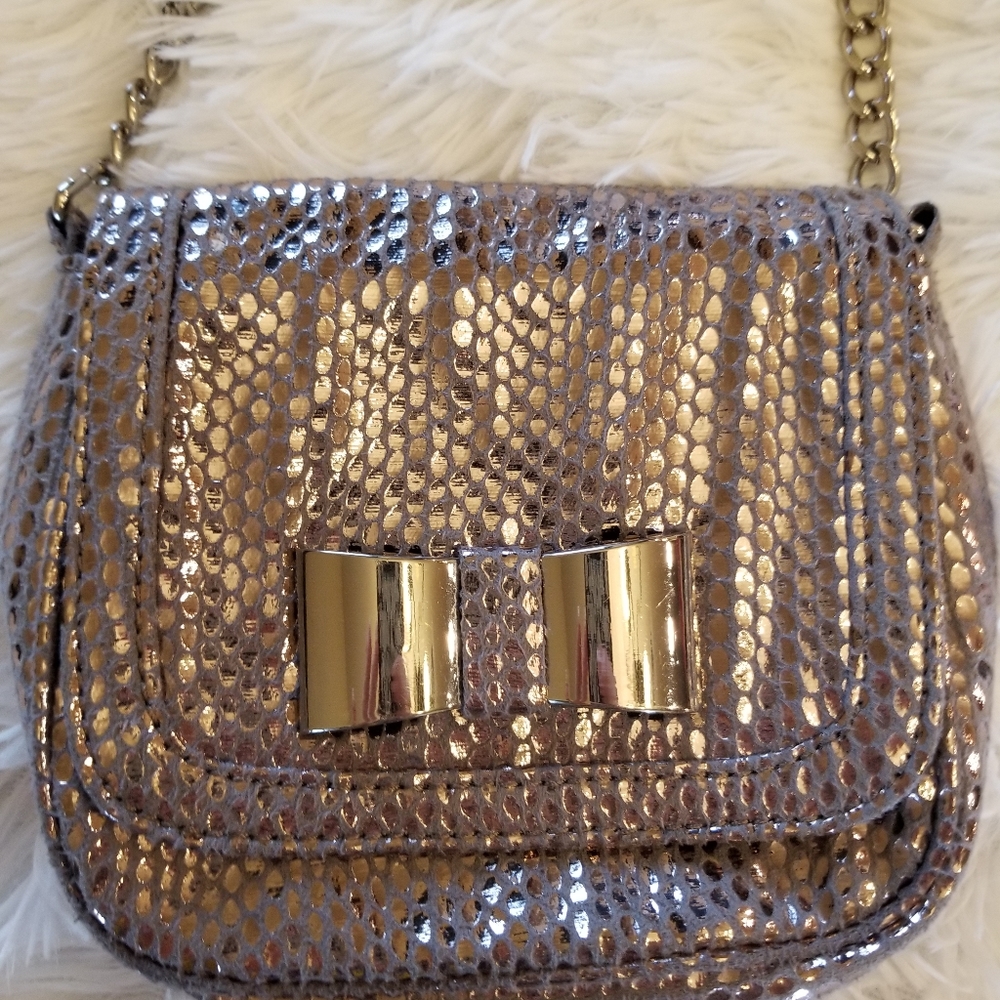 Elle Evening Silver Crossover Bag/Purse
